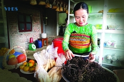 Giáo viên và nỗi niềm làm thêm dịp hè