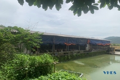 Người cựu chiến binh nuôi gà đẻ “trứng vàng”