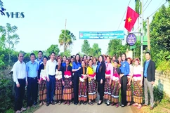 Cùng thanh niên “Thắp sáng đường quê”