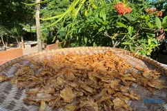 Cất giữ mùa hạ