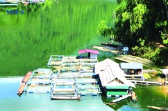 Du lịch lòng hồ thủy điện Trung Sơn