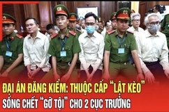 Điểm nóng 29/7: Đại án Đăng kiểm: Thuộc cấp “lật kèo” sống chết “gỡ tội” cho 2 Cục trưởng