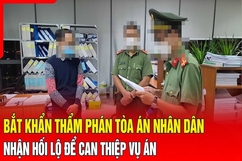 Điểm nóng 14/8: Bắt Thẩm phán TAND nhận hối lộ để can thiệp vụ án