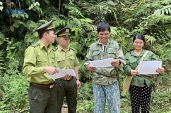 Tăng cường bảo vệ rừng, ngăn khai thác lâm sản trái phép ở Khu BTTN Pù Hu