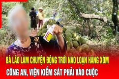 Điểm nóng 28/8: Khởi tố cụ bà 68 tuổi phá gần 370 trái sầu riêng