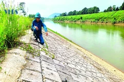 Vơi bớt nỗi lo nơi rốn lũ Thạch Định