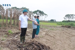 Túc trực 24/24h tại các điểm sạt lở để “giữ đất” cho dân