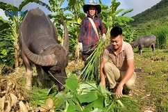 Nhân lên những mô hình giảm nghèo vùng biên