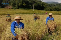 Mường Lát ngày nắng lên