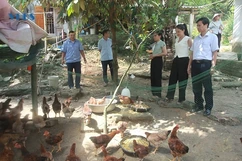 Lựa chọn đối tượng tham gia các dự án giảm nghèo