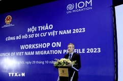 Công bố Hồ sơ di cư Việt Nam 2023: Di cư lao động là loại hình chủ yếu