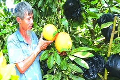 “Lạc” bước giữa quê nhà: Đi tìm... hộ nghèo