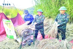 Sức vươn ở Piềng Tặt