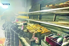 Ði dọc miền biển quê Thanh (bài 2): “Ðánh thức” vùng bãi ngang ven biển, xã đảo đặc biệt khó khăn