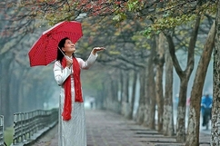 Mưa xuân, tình quê