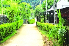 Vui đón lễ hội Mường Lập