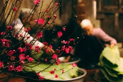 Đợi Tết...