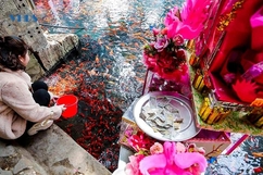 Đầu năm đi “hối lộ” thánh thần