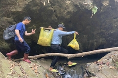 Lộc rừng ngày mưa