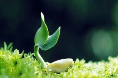 Ý chí - Lằn ranh giữa thành công và thất bại