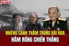 Những cánh thắm trong đài hoa  Hàm Rồng chiến thắng