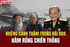 Những cánh thắm trong đài hoa  Hàm Rồng chiến thắng