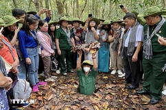 Địa đạo Củ Chi - một trong 7 điểm đến kỳ lạ nhất tại khu vực Đông Nam Á