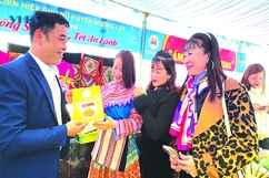 Măng rừng và hành trình đến sản phẩm OCOP