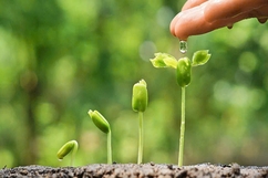 Hạt giống vô hình...