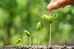 Hạt giống vô hình...