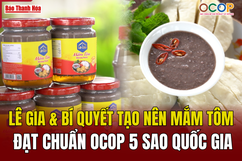 Lê Gia và bí quyết tạo nên mắm tôm đạt chuẩn OCOP 5 sao Quốc gia​