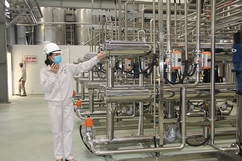 Đường Organic - Sản phẩm tốt cho sức khỏe và môi trường