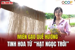 [REVIEW OCOP] Miến gạo Quê hương – Tinh hoa từ “hạt ngọc trời”