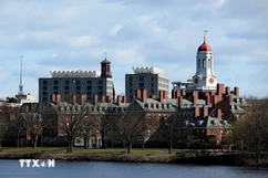 Havard sẽ “về đâu” giữa cơn lốc “MAGA” của Tổng thống Donald Trump?