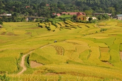 Tự tình tháng Sáu