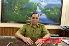 Khát vọng rừng xanh (Bài 3): Phát triển kinh tế rừng hiệu quả, bền vững