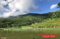 Xây dựng và phát triển thương hiệu vịt Cổ Lũng