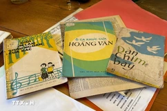Nhạc Hoàng Vân - cầu nối Việt kiều với quê hương