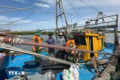 Ứng phó bão số 5: 8 tỉnh, thành phố đã thực hiện lệnh cấm biển