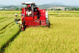 Dồn sức thực hiện thắng lợi chương trình phát triển nông nghiệp và xây dựng NTM