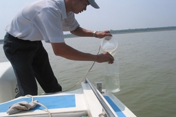 Đề xuất phương án chuyển đổi cây trồng cạn sử dụng ít nước tưới