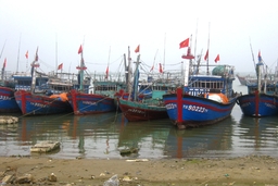 Toàn bộ tàu thuyền đã vào nơi tránh trú an toàn