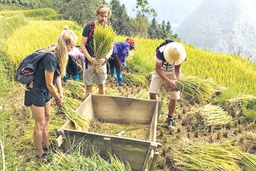 Du lịch cộng đồng ở Thanh Hóa phát triển nhưng chưa thành công