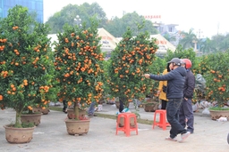 TP Thanh Hóa tổ chức nhiều hoạt động văn hóa, TDTT đặc sắc dịp Tết Đinh Dậu