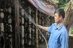 Thanh niên khởi nghiệp: Quyết chí ắt thành công