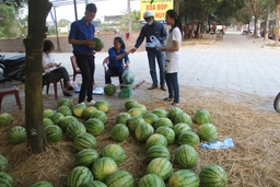 Người Thanh Hóa chia sẻ khó khăn với người trồng dưa tỉnh Quảng Ngãi