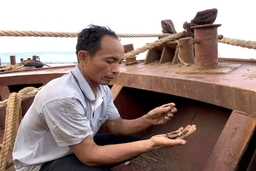 Đi trong cơn bão cạn (Kỳ 1): Chung một căn bệnh