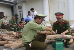 Hơn 5.300 vụ vi phạm buôn lậu, gian lận thương mại và hàng giả