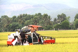 Tích tụ ruộng đất: Còn nhiều khó khăn