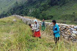 Độc đáo bờ rào đá ở thung lũng Sài Khao